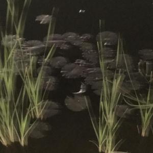 清醒（Prod by War）