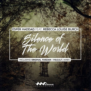 Silence of The World (Farzam Remix)
