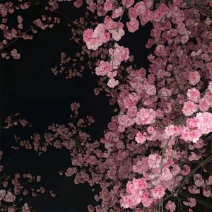 无所畏惧的青春