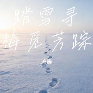 踏雪寻梅觅芳踪