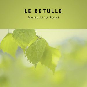 Le betulle