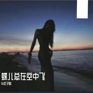 蝶儿总在空中飞