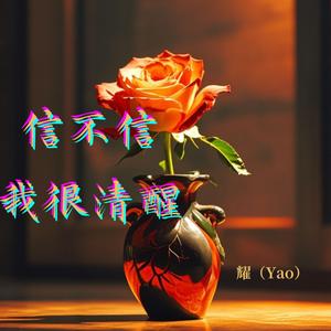 信不信我很清醒