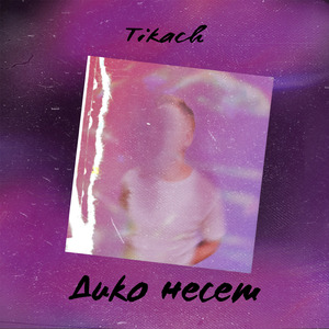 Дико несёт
