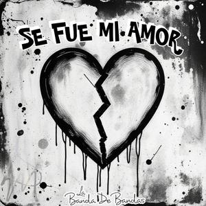 Se Fue Mi Amor
