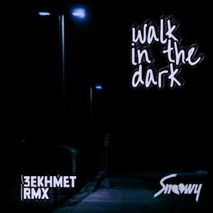 Walk in the Dark (RMX)