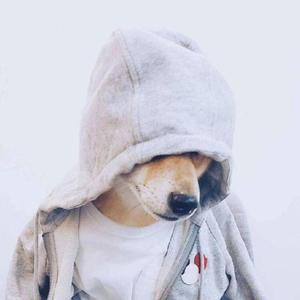 很需要