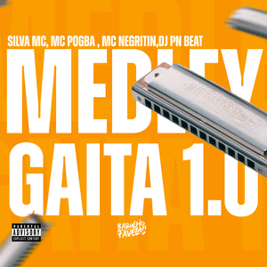 Medley Gaita 1.0
