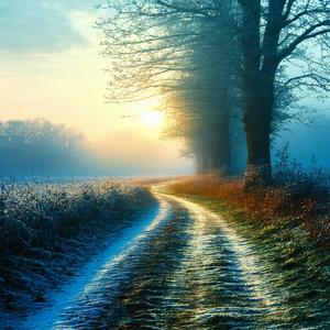 Grasp of A Farewell to Winter