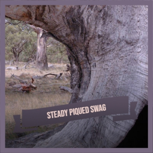 Steady Piqued Swag