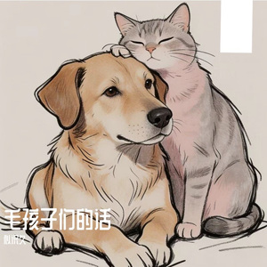 会在有光的地方