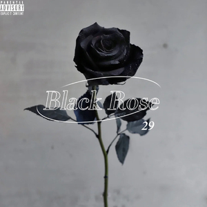 Black Rose（Prod.by 牙刷/helpsisleet）