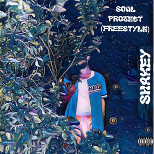 Soul Project (freestyle)