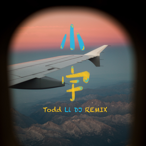 Todd Li-小宇（DJ版）