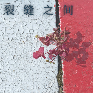 裂缝之间