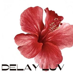 DELAY LUV