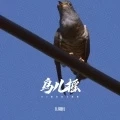 鸟儿摇 (DJ越南鼓卡点版)