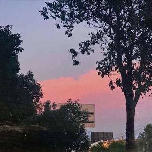 想要把全宇宙最特别的爱都给你