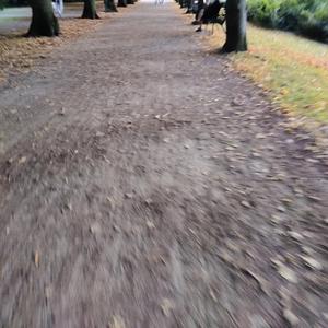 Volentieri (Con piacere)