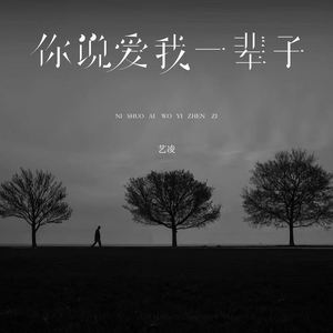 你说爱我一辈子