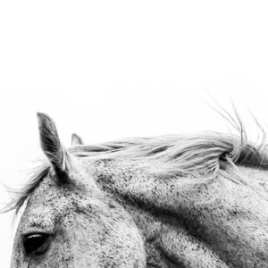 新势力（prod by Red killer）