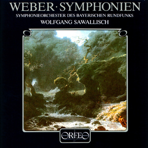Symphony No. 2 in C Major, J. 51:II. Adagio ma non troppo