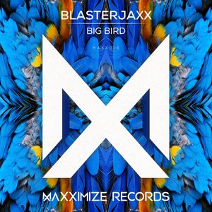 Big Bird (Extended Mix)