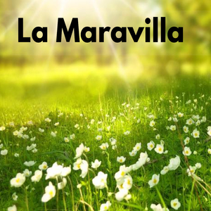 La Maravilla (La Maravilla)