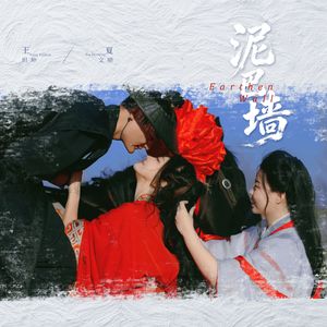 泥巴墙