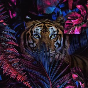 Colonel Bagshot-6 Day（Shmily remix）