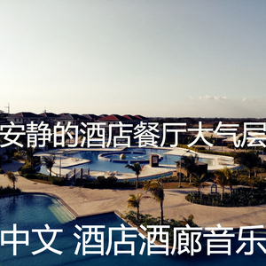 优美酒店大堂器乐