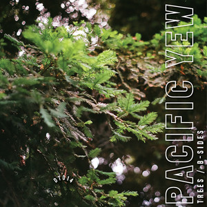 Detailed (Dilauded Mix)