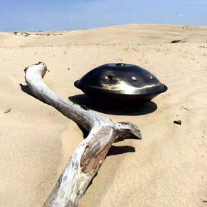 La Vie Ne Ment Past Remix