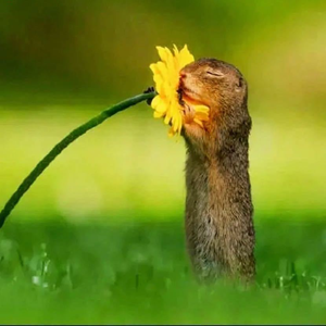 混乱（prod by Jeston）