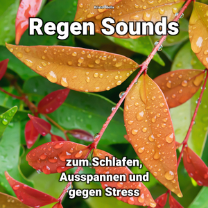 Wohltuende Regen Sounds