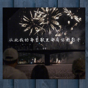 从此我的每首歌里都有你的影子