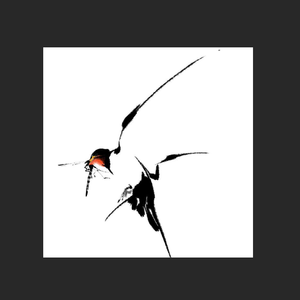 "飞燕"中国风&孟菲斯Type Beat