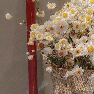 怎样（翻自 火羊瞌睡了）