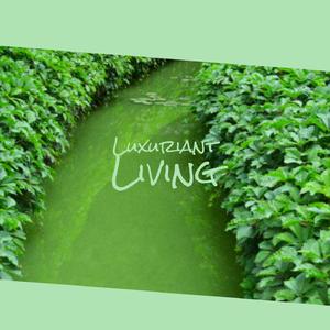 Crocodiles Evangelization