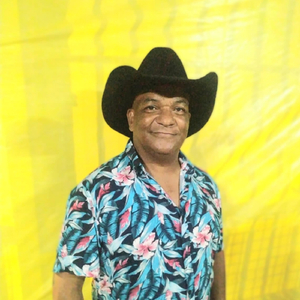 Há Vagabunda Idiota ( Em Arrocha) [Ao Vivo]