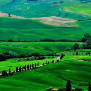 小小的种子（prod by Lisure ）