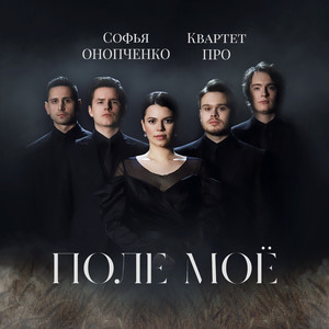 Поле моё (Original Mix)