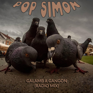 Galamb a gangon (radio mix)