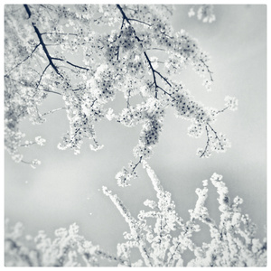 Pasando (Acoustic Version)