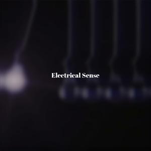 Original Perpendicular