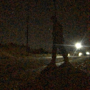 2025年3月 夜の邂逅