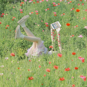 有关一个戛然而止的夏天