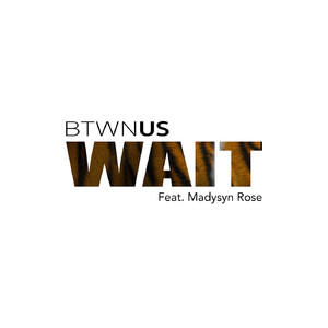 Wait (feat. Madysyn)