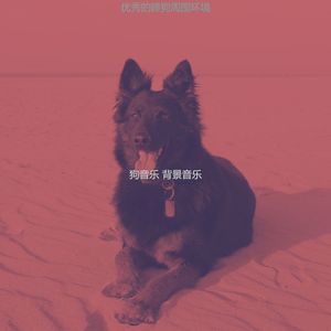 精彩幼犬环境