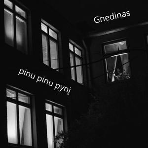 pinu pinu pyni